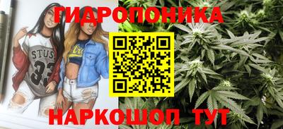 гашик Ачхой-Мартан