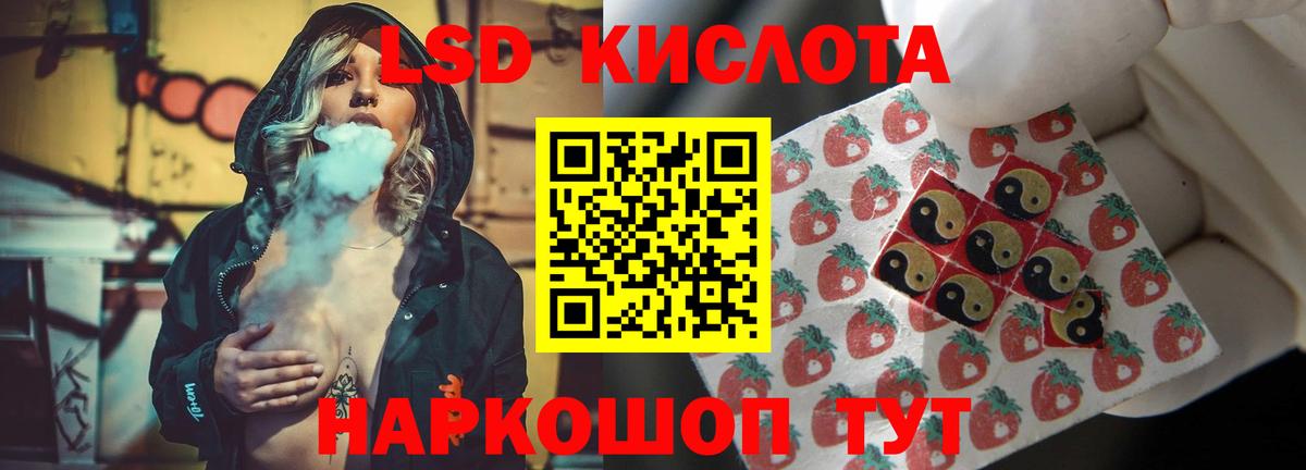 Кузнецк  ЛСД экстази кислота  Лсд 25 экстази кислота  ЛСД экстази  Вход с VPN 