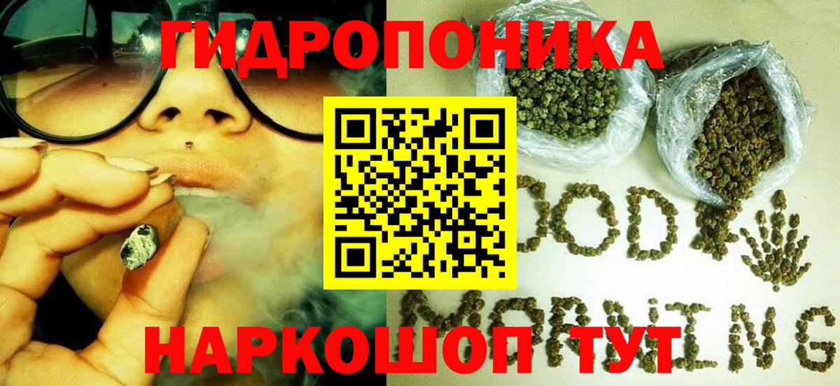 Кузнецк  Марихуана план  МАРИХУАНА сатива  Марихуана Ganja  Вход с VPN  Конопля SATIVA & INDICA 
